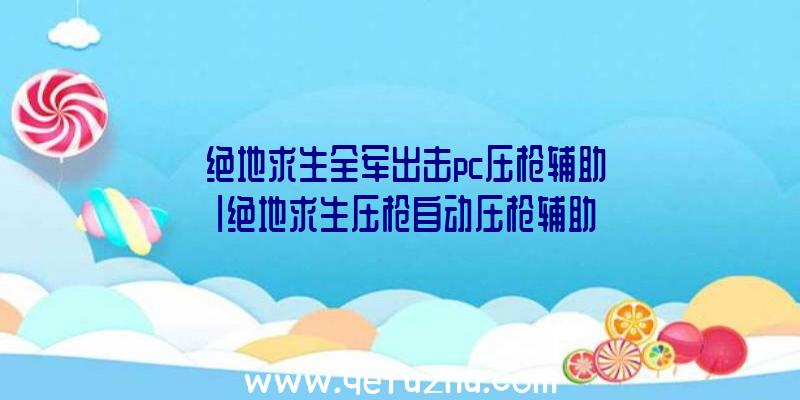 「绝地求生全军出击pc压枪辅助」|绝地求生压枪自动压枪辅助